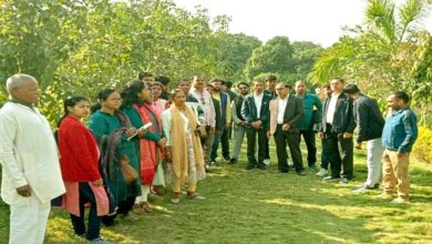 स्वास्थ्य ज्ञान और पर्यावरण संतुलन का पर्याय है इसलामपुर हर्बल गार्डन 14 Islampur Herbal Garden is synonymous with health knowledge and environmental balance 3