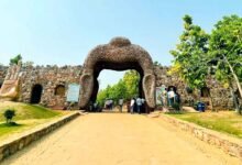 नववर्ष पर बंद रहेगा राजगीर जू-नेचर सफारी, वन विभाग का बड़ा फैसला 12 Rajgir Zoo Nature Safari will remain closed on New Year Day a major decision by the Forest Department