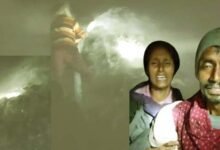 The farmer haystack was set on fire and 10 bighas of paddy crop were reduced to ashes