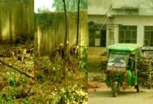 प्रखंड-अंचल परिसर में किसकी अनुमति से काटकर ढोए गए हरे पेड़? 36 With whose permission were the green trees cut down and transported away from the block premises