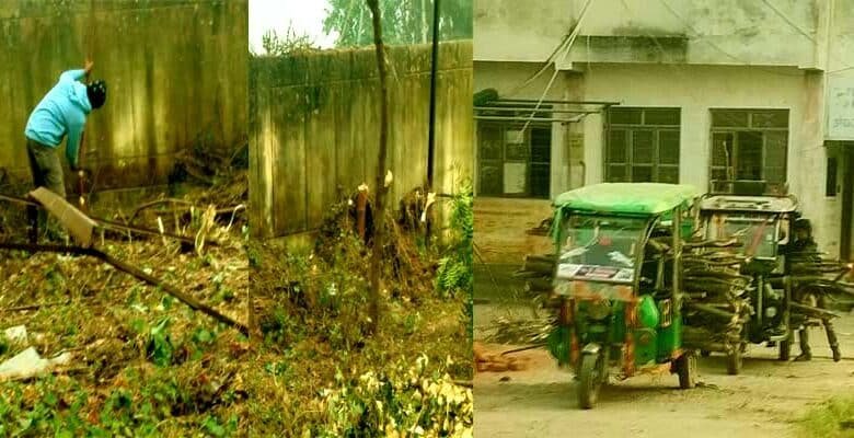 With whose permission were the green trees cut down and transported away from the block premises