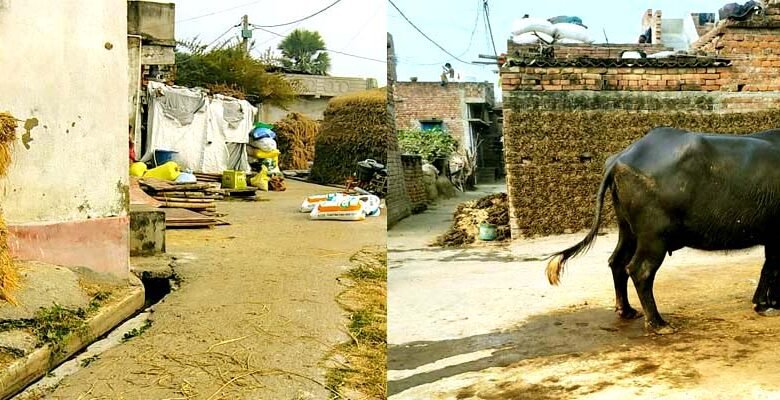 डीएम के आदेश बेअसर, सरकारी जमीन पर कब्जा बरकरार, सिंचाई-रास्ता अवरुद्ध 1 DM orders prove ineffective encroachment on government land continues irrigation and access road remain blocked