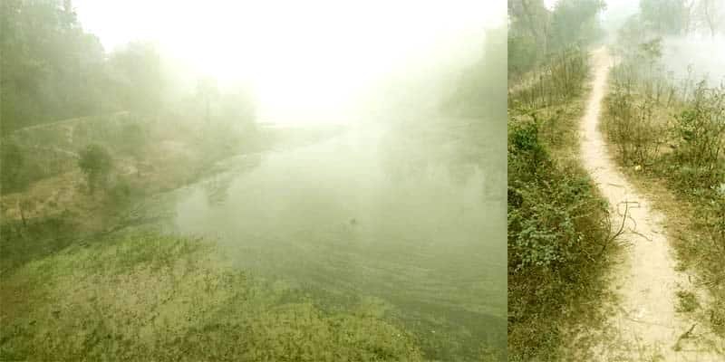 Jharia in Islampur has been deprived of the development that Chief Minister Nitish Kumar has brought about over the past twenty years 2