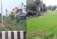 मुहाने नदी: सरकारी सड़ांध का पर्याय बनी इस्लामपुर-चंडी की जीवन रेखा 6 मुहाने नदी इस्लामपुर चंडी