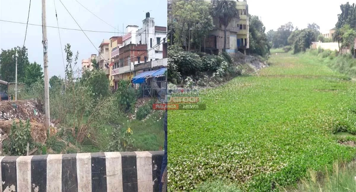 मुहाने नदी: सरकारी सड़ांध का पर्याय बनी इस्लामपुर-चंडी की जीवन रेखा मुहाने नदी: सरकारी सड़ांध का पर्याय बनी इस्लामपुर-चंडी की जीवन रेखा