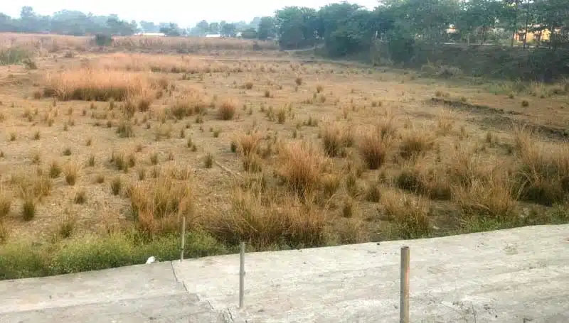 150 वर्ष पुराना पंकज पोखर उपेक्षित: 32 एकड़ से सिमटकर 20 एकड़ रह गया ऐतिहासिक तालाब 1 नालंदा के बेन प्रखंड स्थित 150 वर्ष पुराना पंकज पोखर