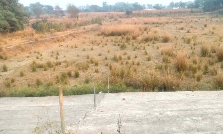 150 वर्ष पुराना पंकज पोखर उपेक्षित: 32 एकड़ से सिमटकर 20 एकड़ रह गया ऐतिहासिक तालाब 1 उपेक्षा का शिकार बना बेन प्रखंड मुख्यालय का तालाब