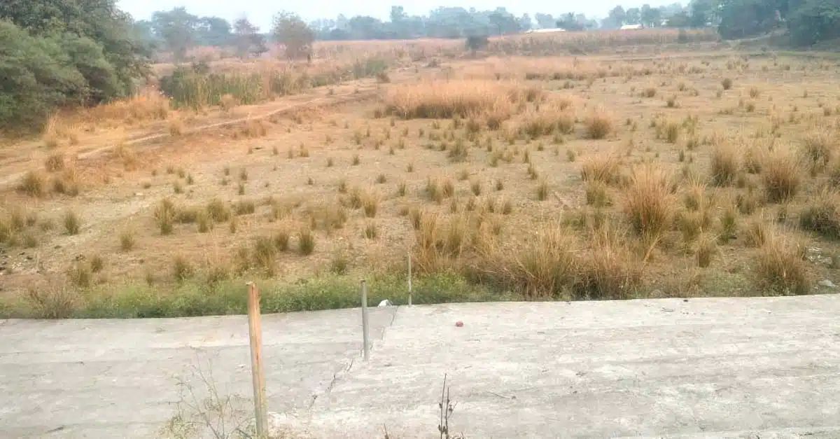 उपेक्षा का शिकार बना बेन प्रखंड मुख्यालय का तालाब