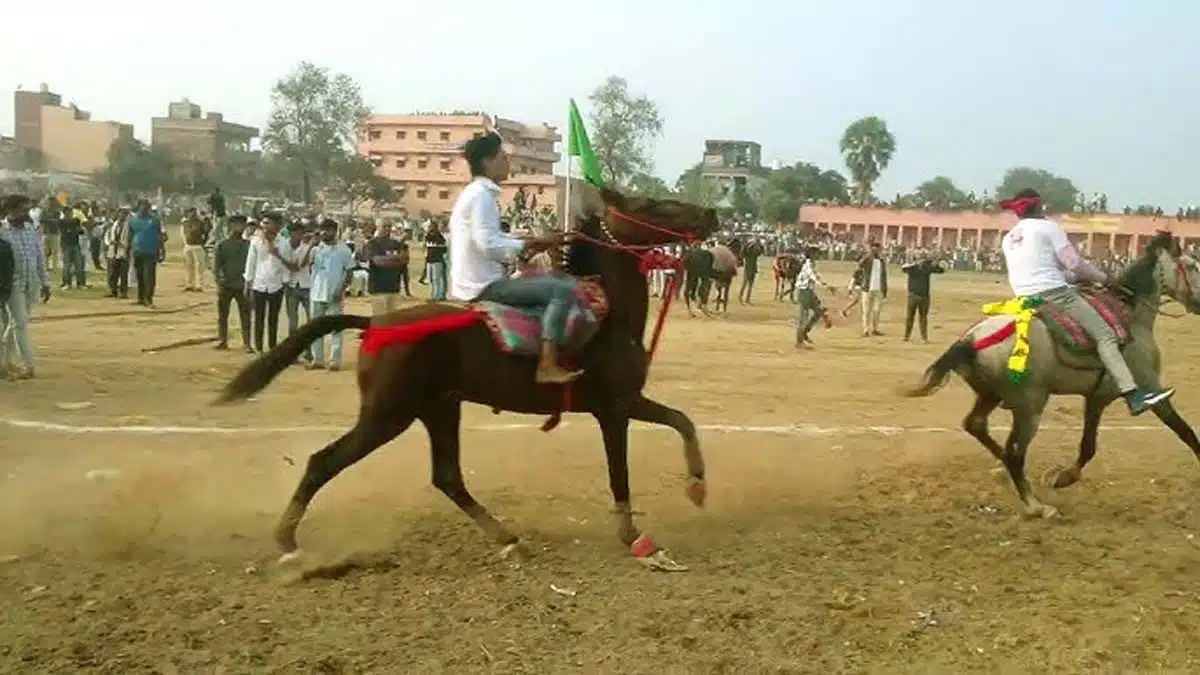 तेल्हाड़ा में 40 वर्षों से चली आ रही घुड़दौड़ प्रतियोगिता का भव्य आयोजन 1 तेल्हाड़ा में पारंपरिक घुड़दौड़ प्रतियोगिता का दृश्य