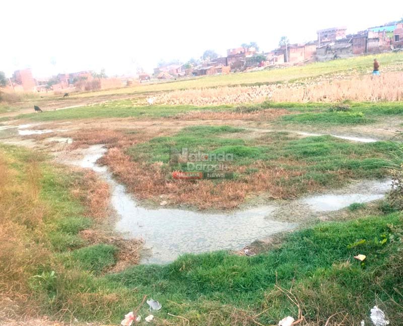 Big Exclusive Story: किसानों के लिए अभिशाप बना नल-जल योजना, जफरा में 10 एकड़ उपजाऊ जमीन हुआ बेकार 3 Nalanda Farmers Crisis