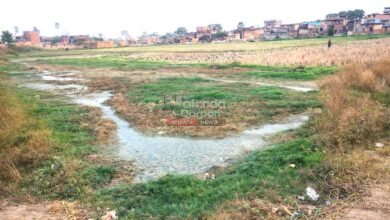 Big Exclusive Story: किसानों के लिए अभिशाप बना नल-जल योजना, जफरा में 10 एकड़ उपजाऊ जमीन हुआ बेकार 2 Bihar Rural Infrastructure Failure