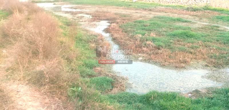 Big Exclusive Story: किसानों के लिए अभिशाप बना नल-जल योजना, जफरा में 10 एकड़ उपजाऊ जमीन हुआ बेकार 2 Waterlogging farmland Crop loss Nalanda