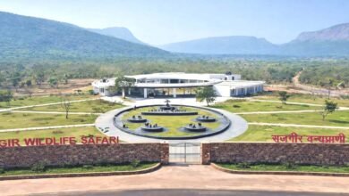 Rajgir Nature Zoo Safari closed