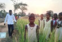 chandi 11 year old girl raped 100 rupees lure field