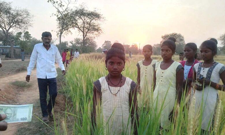 chandi 11 year old girl raped 100 rupees lure field