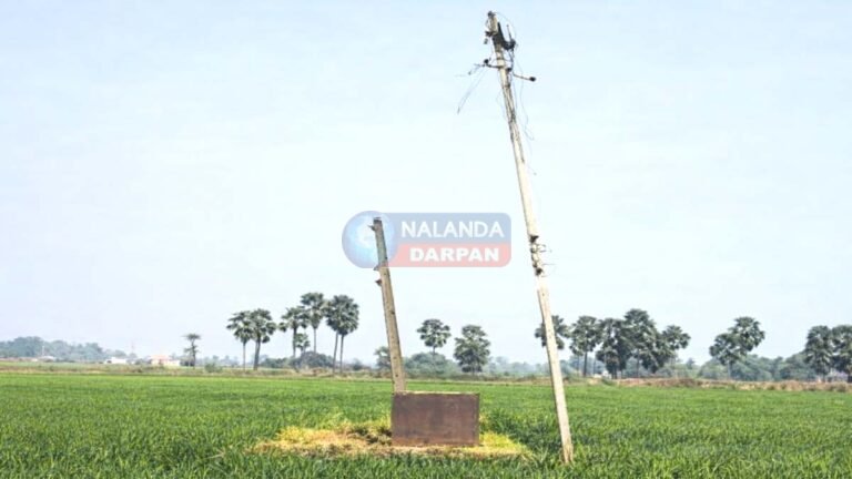 चंडी में चोरी की बड़ी वारदात, 22 खंभों से बिजली तार गायब, सिंचाई पर संकट