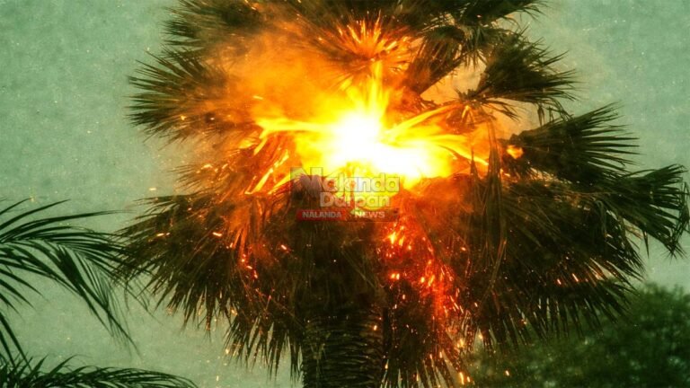 Burning palm tree at twilight