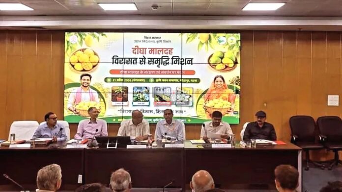 Dudhiya Malda mango grown in Patna’s Digha region