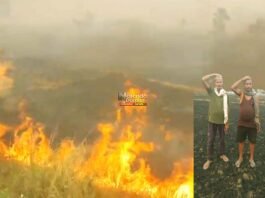 Nalanda wheat crop fire