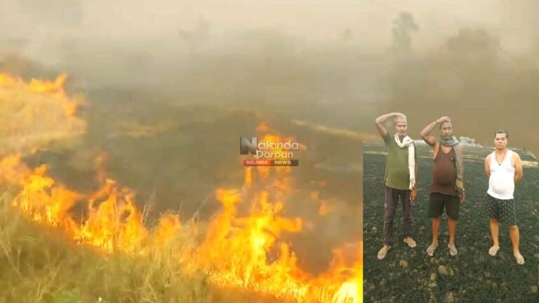 Nalanda wheat crop fire