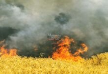 Nalanda wheat crop fire