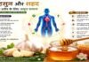 लहसुन और शहद का चमत्कार जानकर हैरान हो जाएंगे आप!