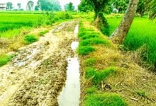 Kaila Panchayat Road Construction