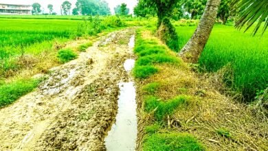 15 साल से सड़क का इंतजार! कैला पंचायत सरकार भवन तक आज भी कीचड़ भरी कच्ची राह 2 Kaila Panchayat Road Construction